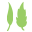 Frontier Co-op logo